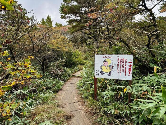 【日本百名山】20座目は紅葉の絨毯を見に安達太良山へ（福島県）