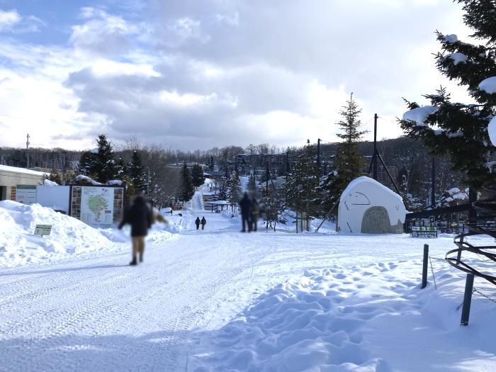 【北海道】冬季目玉イベント「雪の中のペンギンの散歩」！旭山動物園で銀世界の動物たちを楽しもう！