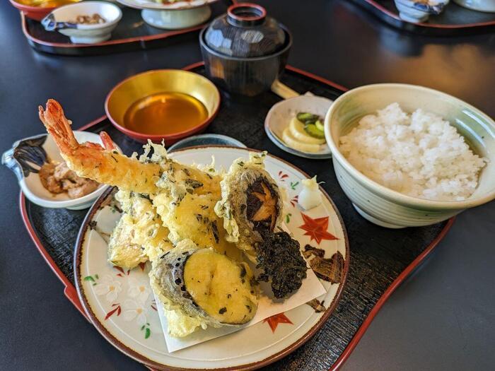 【静岡県】玉露の里、藤枝でお茶尽くしの1日を過ごしてきました