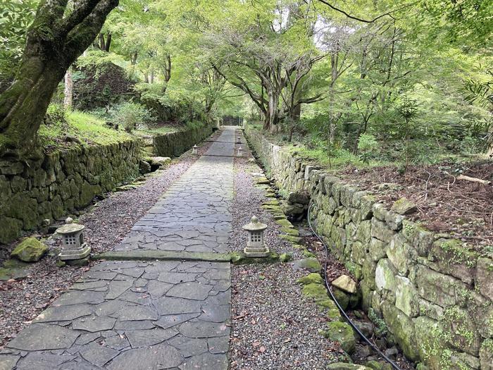 【大分・国東半島・両子寺】森林浴の森 日本100選！深い森の中にある山岳仏教信仰の寺