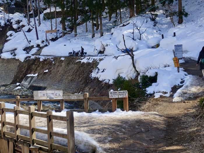 【長野】世界でここだけ！ニホンザルが温泉に入る地獄谷野猿公苑