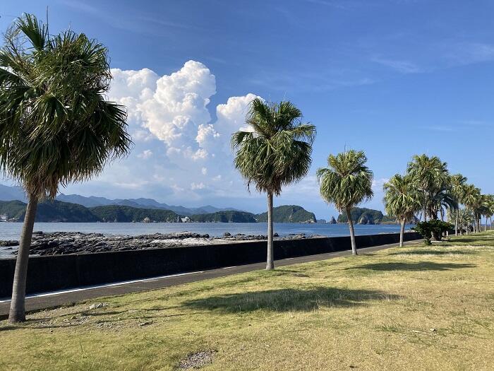 和歌山県を旅するなら、レール＆レンタカーがおすすめ！ 美しい海岸線と雄大な風景を満喫してきました。