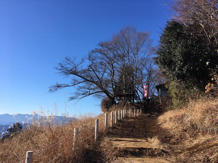 【山登り道】冬山にはなぜ魅力があるのか？＜景信山～城山～高尾山編＞