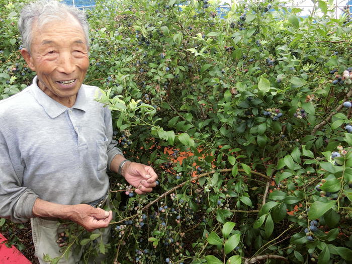 富士・富士宮の観光におすすめ！豊富なグルメにおしゃれなカフェなど