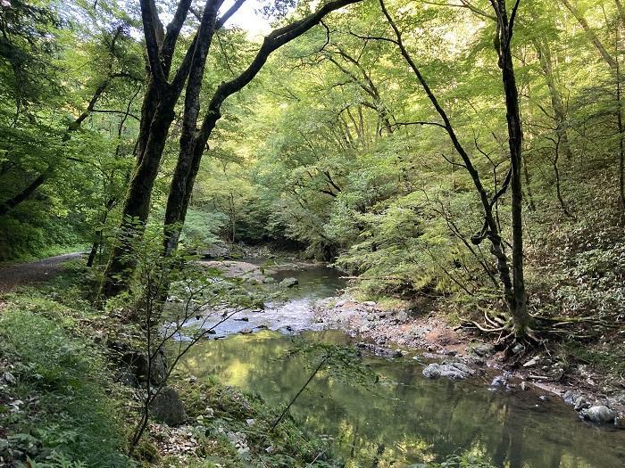 【広島県】思わず深呼吸したくなる町！神石高原町は たくさんの”おいしい●●”がある町だった。