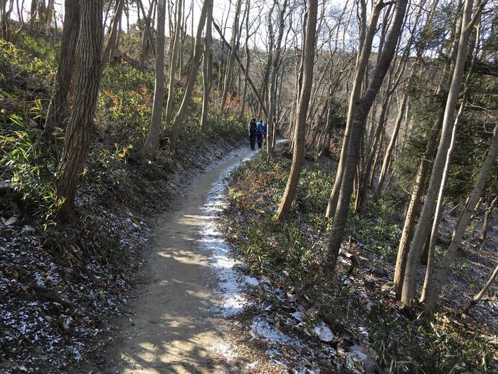 【冬の低山を楽しむ】お手軽な長瀞アルプスハイキング