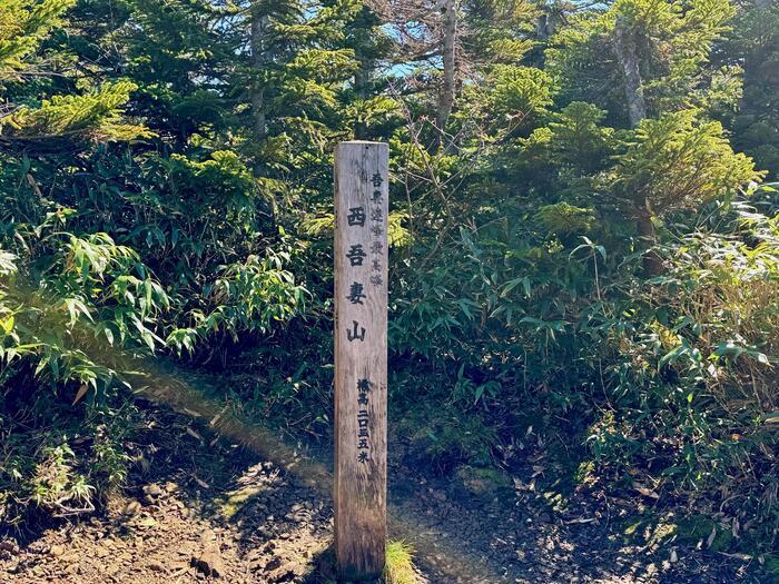 【日本百名山】22座目は西吾妻山...初級者向け？いえいえ結構大変な山でした（山形県・福島県）