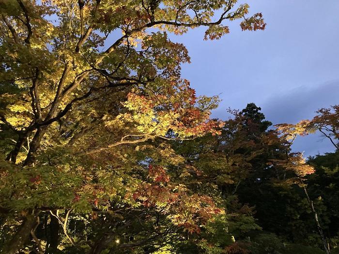 【栃木県】今、改めて「日光」の価値に気づく旅