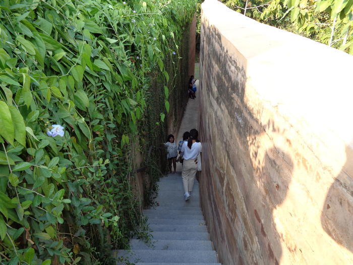 都会の中の小さな森、バンコク「METRO FOREST」