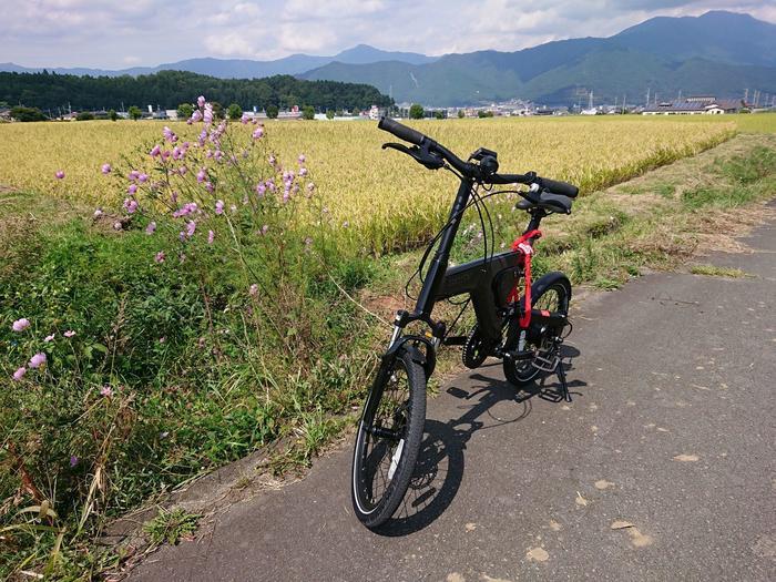 【山梨】富士山の麓・富士吉田市を自転車で周ってみた ～おすすめスポット7選も紹介します～