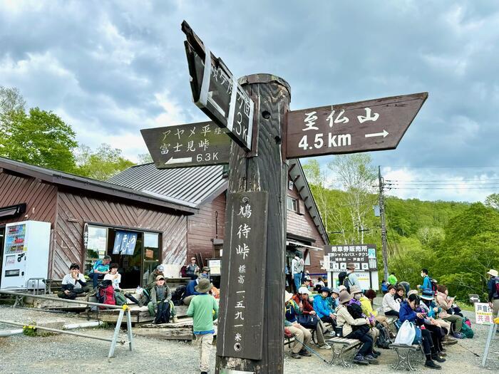 尾瀬の魅力を詳しく解説します！（群馬・福島・新潟）