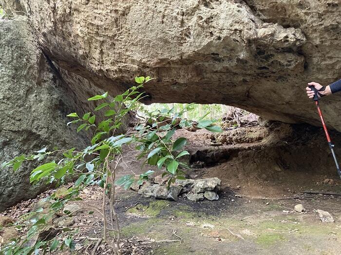 【対馬】世界の山々を登頂したクライマーも「この山は面白い！」といった白嶽（しらたけ）とはどんな山？