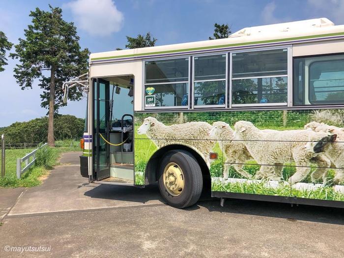 【千葉県／富津市】マザー牧場完全ガイド！見どころ・アクセス・お土産・グルメすべて紹介します