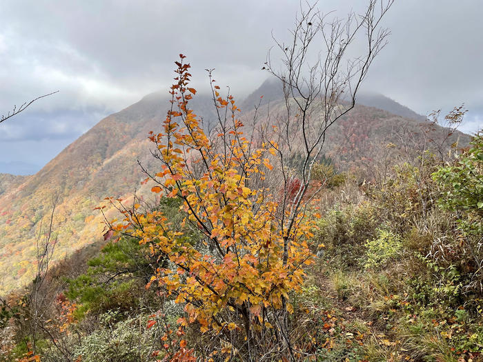 【島根】石見富士「三瓶山」のカルデラを大縦走！