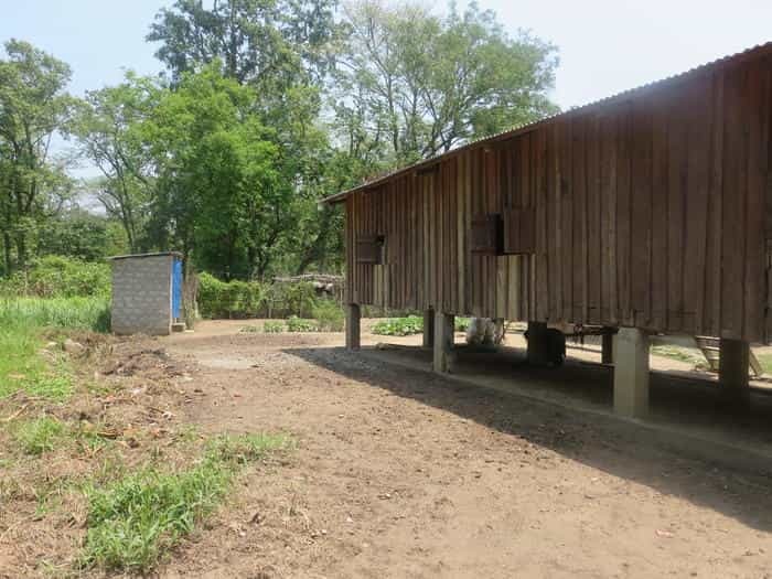 ネパール・世界遺産チトワン国立公園でアドベンチャー体験!!~日本じゃ体感できない非日常のひとときを~(後編)