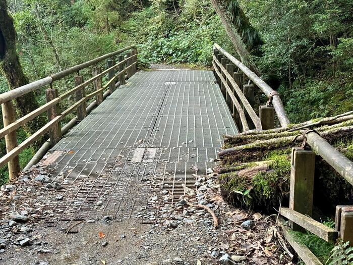 【鹿児島】屋久島の白谷雲水峡に行かれる方へ注意（2024年11月現在）