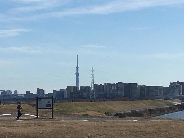 【おすすめ】首都圏から近いお散歩コース＜荒川河川敷編＞