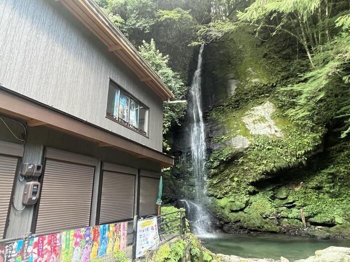 【徳島】日本三大秘境のひとつ四国のへそ付近にある大歩危と祖谷の見どころと名店を紹介