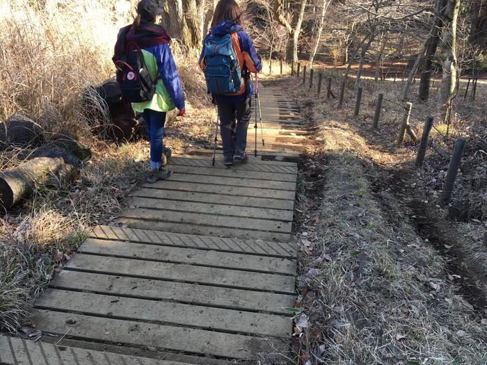 【山登り道】冬山にはなぜ魅力があるのか？＜景信山～城山～高尾山編＞