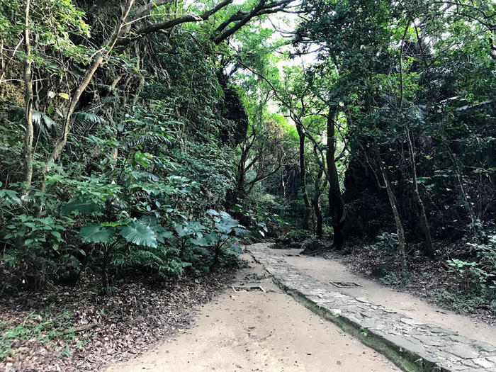 沖縄の世界遺産のひとつ「斎場御嶽」ってなんて読むの？正解は...