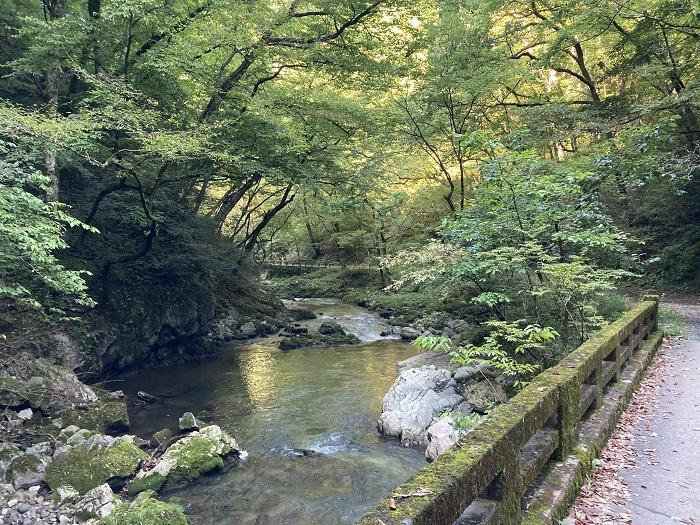 【広島県】思わず深呼吸したくなる町！神石高原町は たくさんの”おいしい●●”がある町だった。