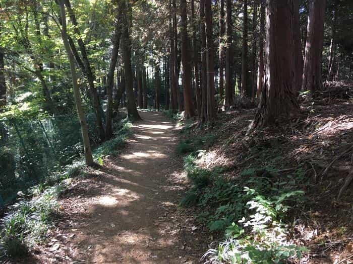 【埼玉県】飯能ハイキング・初心者向けコース（天覧山・多峯主山）