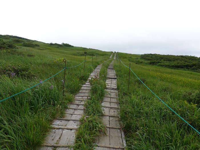 【山形】月山八合目・弥陀ヶ原湿原の歩き方