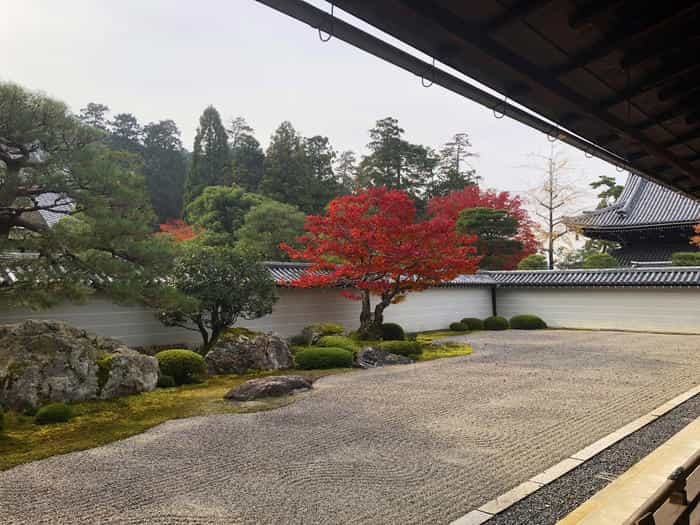 紅葉に食べられそう...秋の京都「南禅寺」と「永観堂」は素晴らしかった！