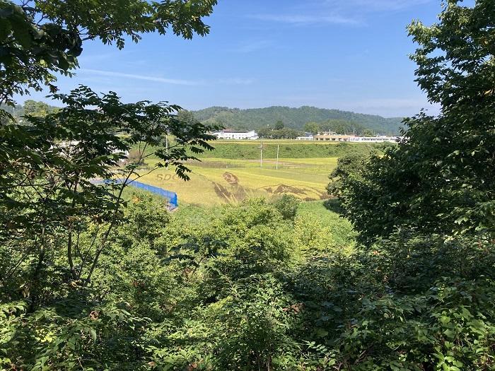 【やまがた出羽百観音】地域で守り継がれる素朴な霊場「置賜三十三観音」