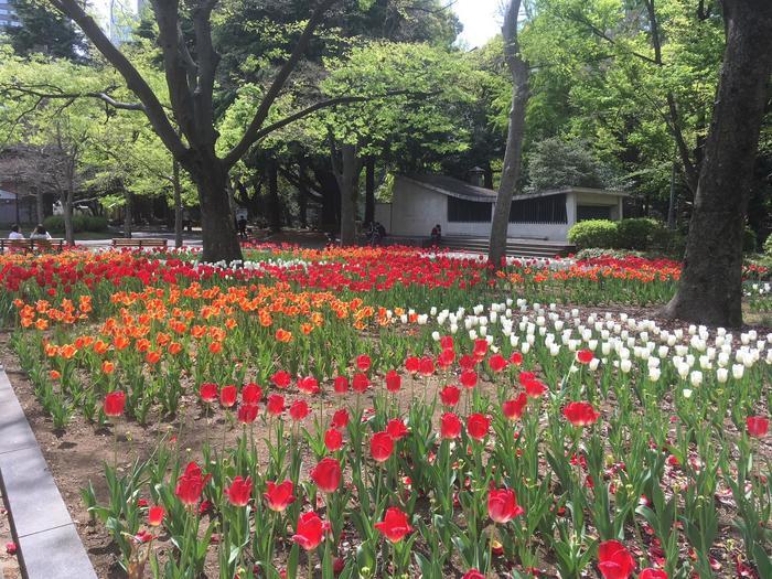 東京／お散歩好きな方必見！都心のど真ん中にこんな緑豊かな場所があるなんて・・・