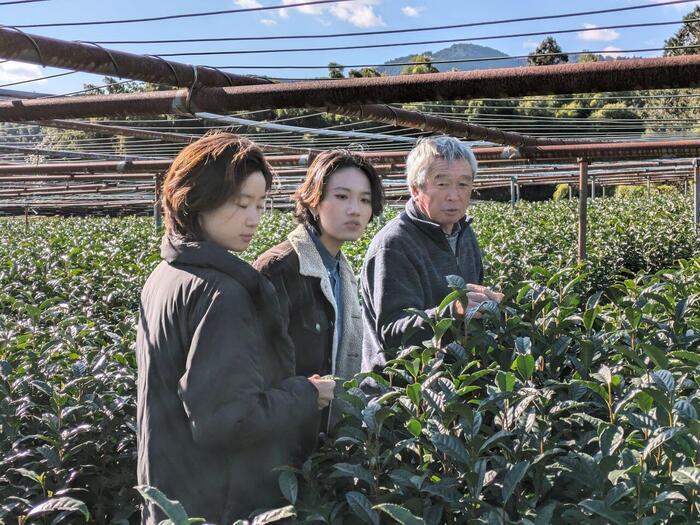 【静岡県】玉露の里、藤枝でお茶尽くしの1日を過ごしてきました