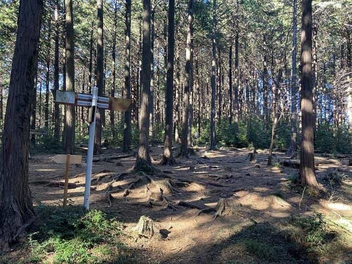 【埼玉県・大高取山】低山でありながら6つの眺望が楽しめる穴場の山