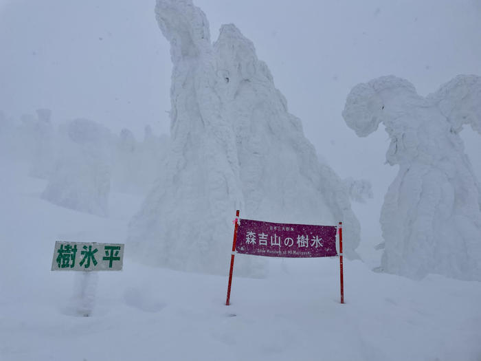 【秋田】日本三大樹氷「森吉山」で見上げる雪の造形美