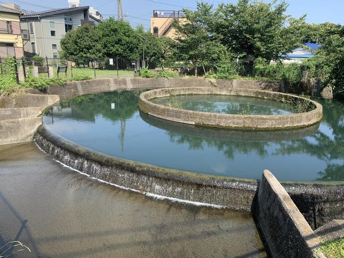 【神奈川県川崎市】アートな土木を見に行こう！水争いから生まれた幾何学の美～久地円筒分水～