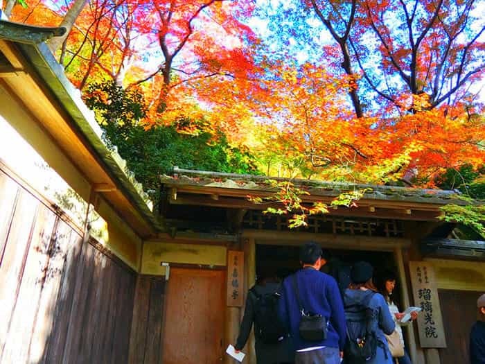 インスタ映え間違いなし★ため息が出るほど美しい瑠璃光院の紅葉