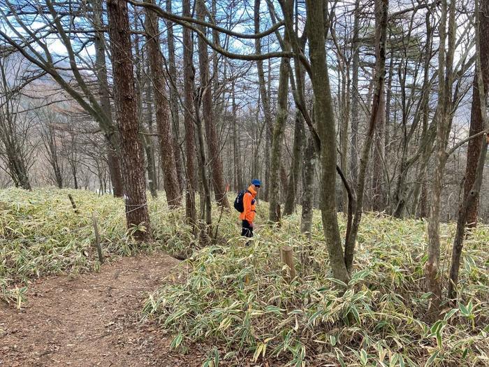 【紅葉登山】上毛三山（赤城山・榛名山・妙義山）晩秋の山旅