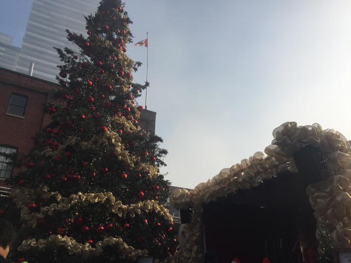 トロントのクリスマスマーケットで冬を楽しもう！