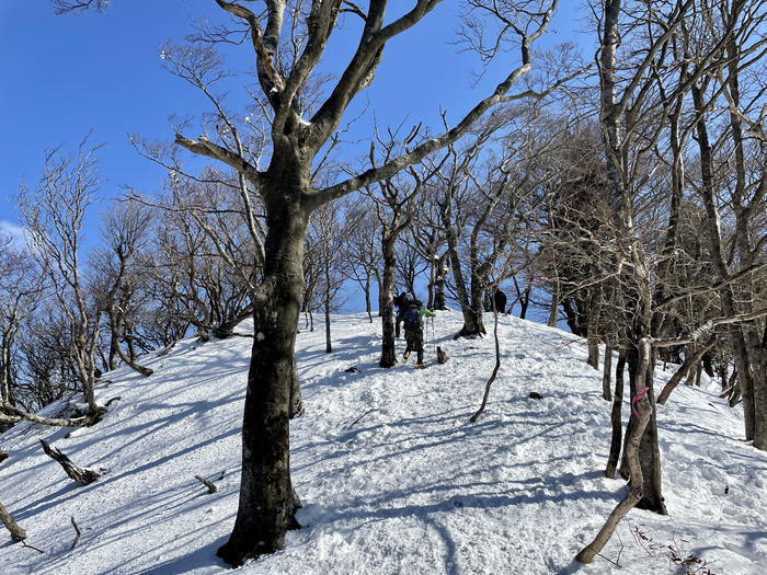 【滋賀】雪山入門編　眺望が素晴らしい綿向山