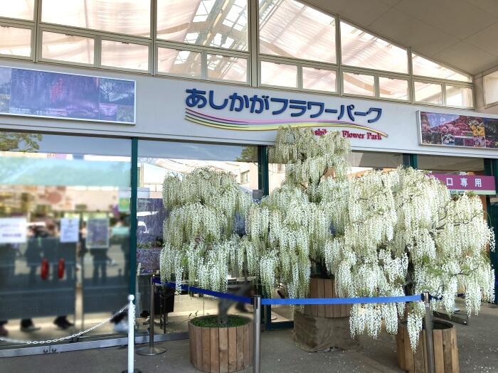 【栃木】樹齢約160年の大藤のライトアップがすごい！藤の楽園「あしかがフラワーパーク」の幻想的な夜の光景