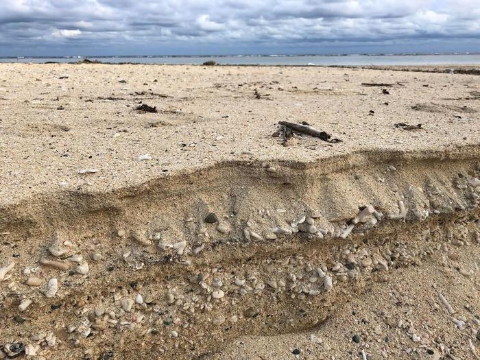 浜歩きのすすめ　徳之島の喜念浜ビーチで漂着物を見つけよう♪