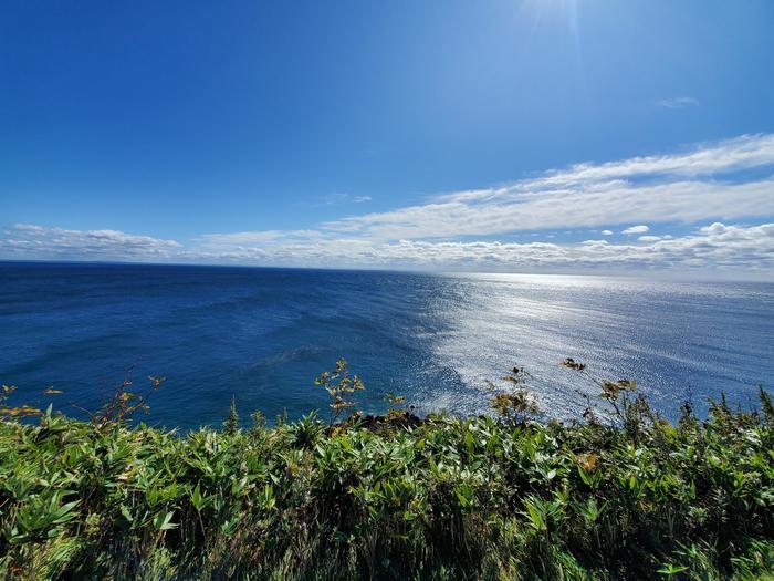 北海道民でも一度は行きたい利尻島へ初上陸！おすすめ観光スポットを7つご紹介します！