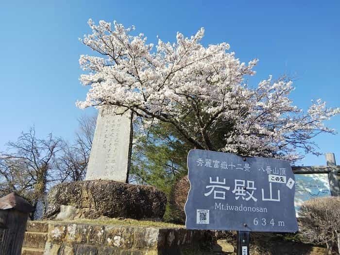 【お花見登山】桜満開のお伊勢山から岩殿山を縦走する日帰り山旅