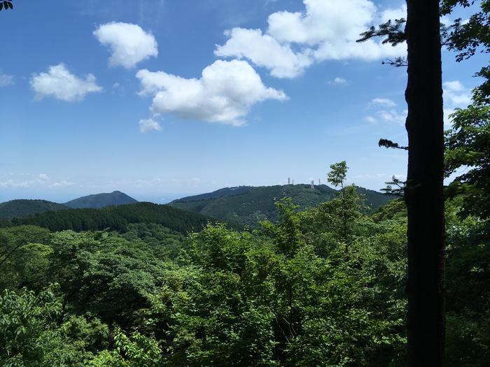 【奥武蔵で眺望の良い山】丸山・堂平山を縦走。最後に襲った悲劇とは・・・