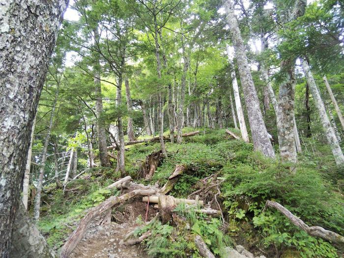 【山の日登山】標高3,000ｍ超えの眺望『北岳』2022年夏登山！！