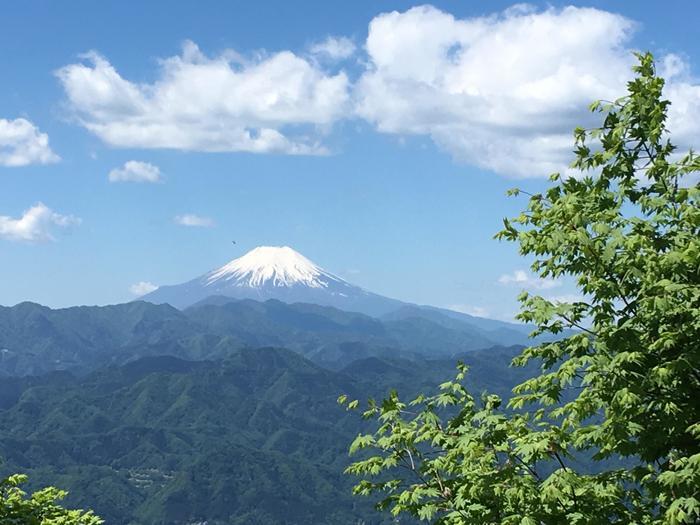 【山登り道】～低山には低山の魅力があるのです③～「奥高尾/陣馬山・景信山」