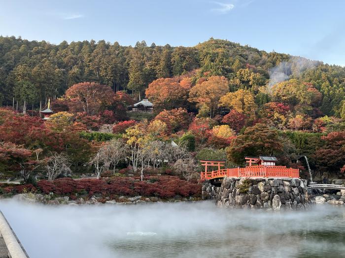 【大阪府】「この秋、私は渋滞知らず 勝尾寺紅葉シャトルバス」に乗ってみた！