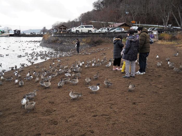 福島の人気観光地・猪苗代湖と周辺のおすすめスポットを徹底取材！ しぶき氷や遊覧船を満喫