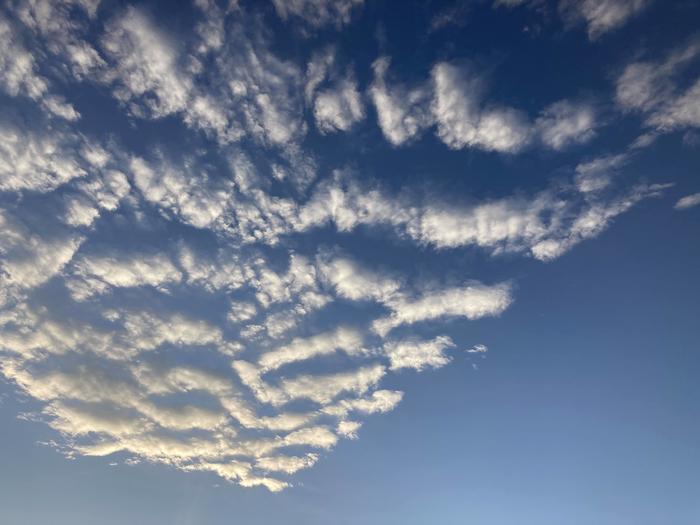 幻想的な雲海の大瀑布！？魚沼「滝雲」の知られざる絶景