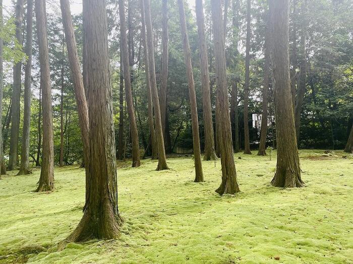 【奈良】教科書で見たあの方に会いに行こう！～唐招提寺で鑑真和上に苦労を乗り越える力ももらおう～