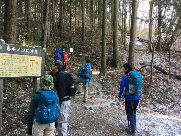 【冬の低山を楽しむ】お手軽な長瀞アルプスハイキング